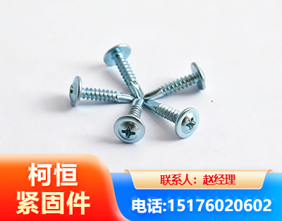 衡阳华司钻尾丝